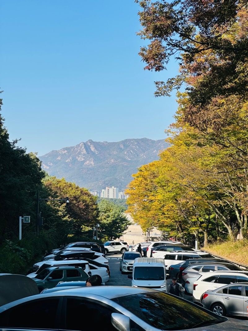 서울대공원 캠핑장 주차장 몇 시에 가야 할까? 주말 9시 30분이 마지노선인 이유