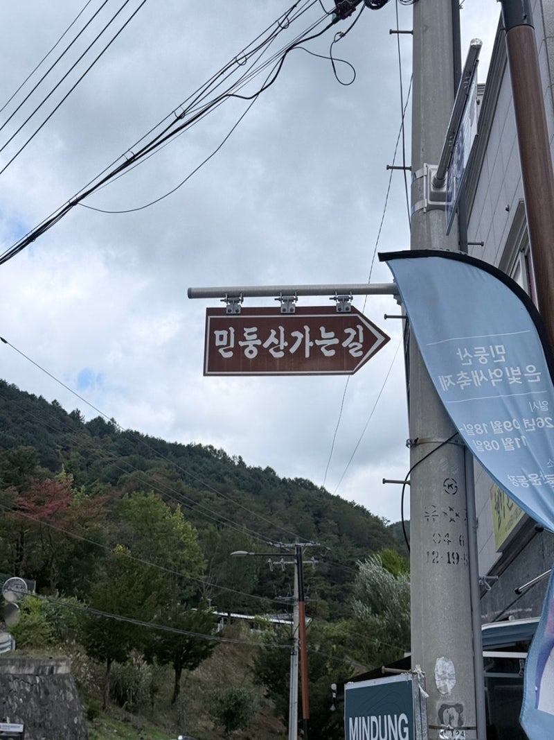 민둥산 억새 당일치기 등산 후기｜증산초교 급경사 완경사 코스와 무궁화호 기차 여행