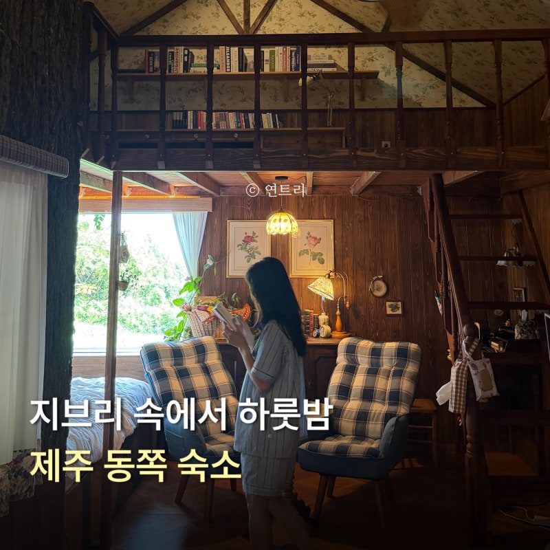 지브리 감성 제주 동쪽 에어비앤비 숙소 추천 | 글로리야 A동 후기
