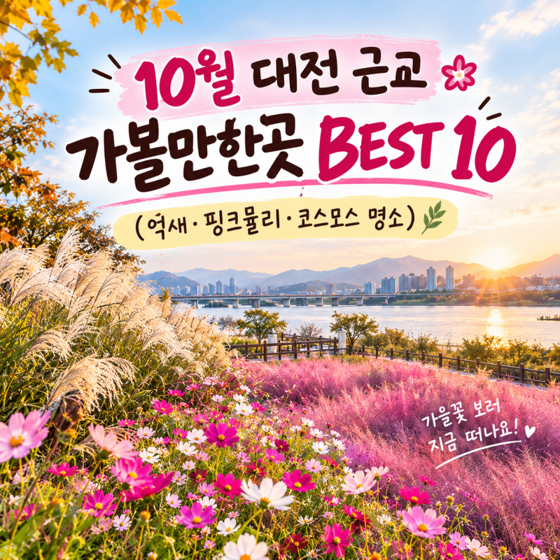 10월 대전 근교 가볼만한곳 BEST 10 (억새·핑크뮬리·코스모스 명소)