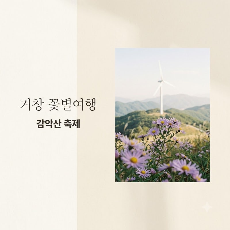 거창 감악산 축제 셔틀버스 시간표와 예약 방법 꽃별여행 직접 다녀온 꿀팁