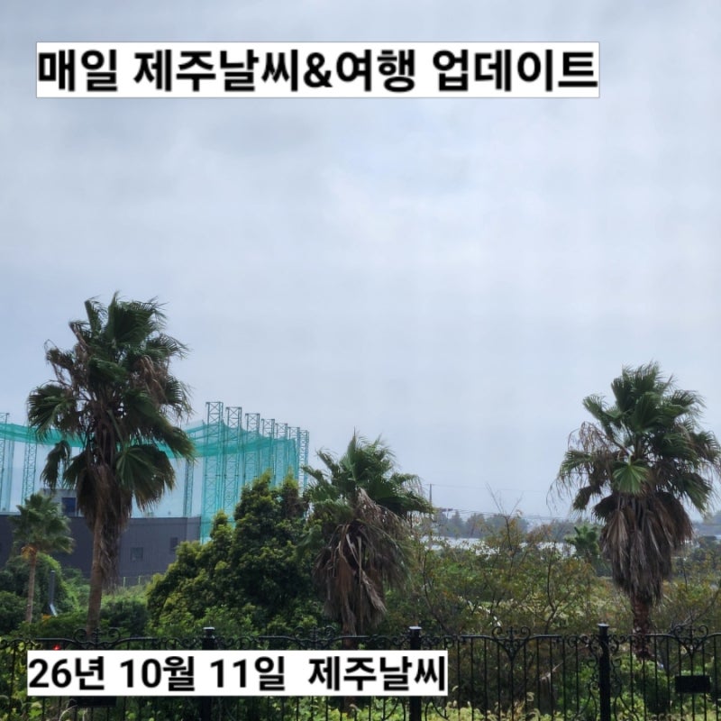10월 11일 제주도 날씨 서귀포 실시간 옷차림 비 오는 일요일 실외 여행 참고 한라산 예보