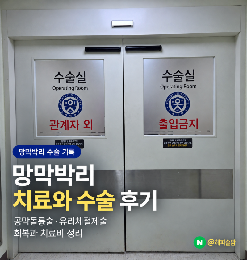 망막박리 치료, 수술 후기｜공막돌륭술·유리체절제술 회복과 치료비 연세세브란스