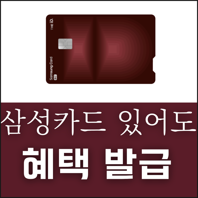 개인사업자 신용카드 삼성 BIZ THE iD PLATINUM