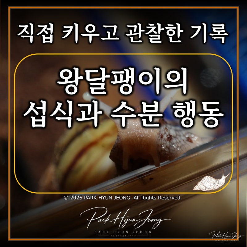 왕달팽이의 섭식·수분 이용과 사육 통 내 행동 특성