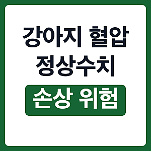 강아지 혈압 정상수치 수축기 손상 위험 단계 측정 증상