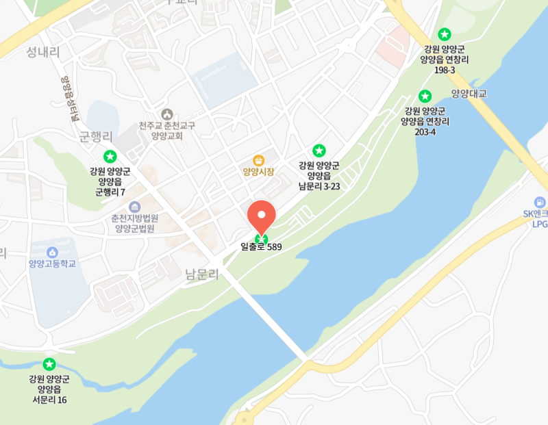 모르면 최소 2시간 길바닥에서 웁니다! 2026 양양송이연축제 주차 꿀팁 & 주차장 &셔틀버스 &축....