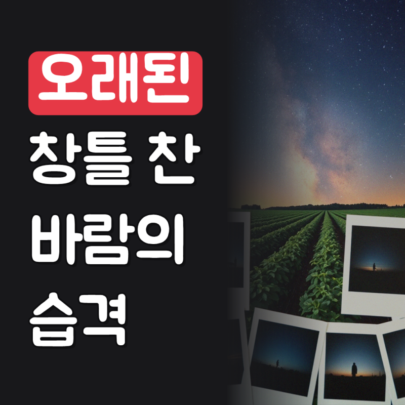 롤 폼블럭 단열벽지 접착식 방한 보온 결로방지 난방 20000mm, 파벽돌 화이트