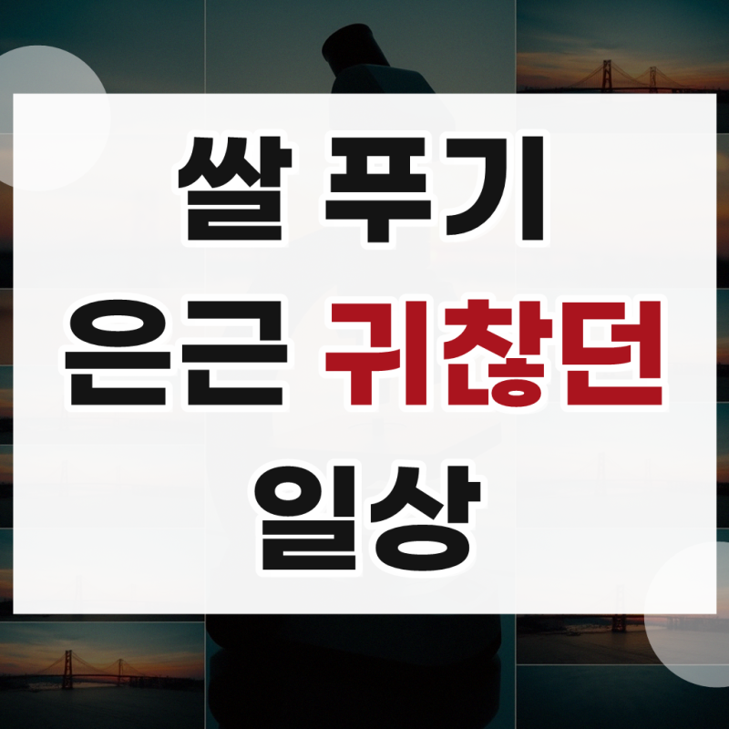 네오플램 원터치 쌀통 쌀보관용기 잡곡통 10kg