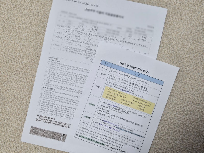 도봉보건소 난임시술비 지원 신청 후기│사실혼 서류 준비부터 시험관 지원까지