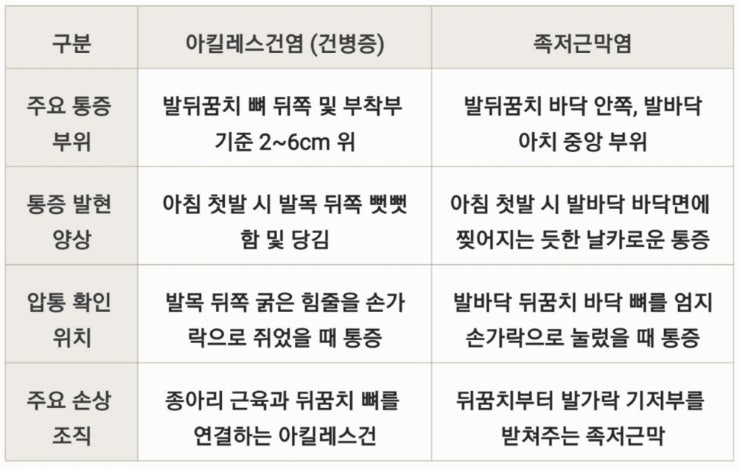 아킬레스건 발뒤꿈치 힘줄 통증, 아킬레스건염 원인과 관리의 모든 것
