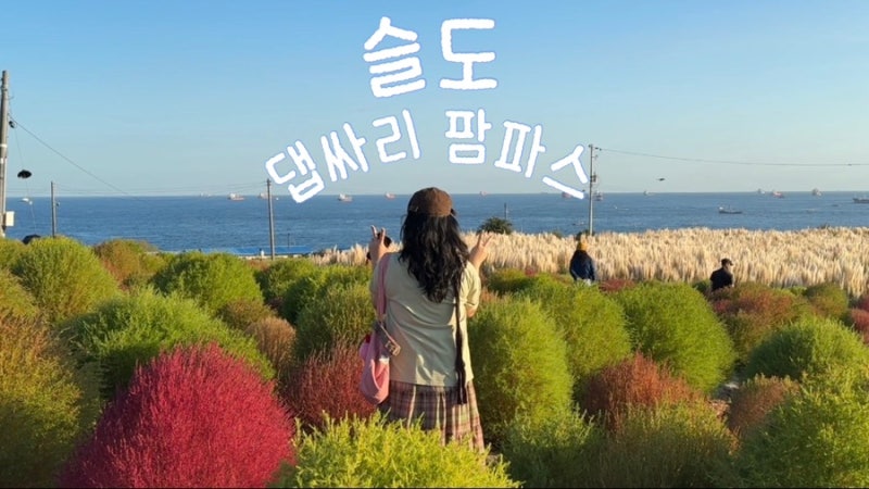 울산 가을 명소 슬도 댑싸리 팜파스 위치 주차