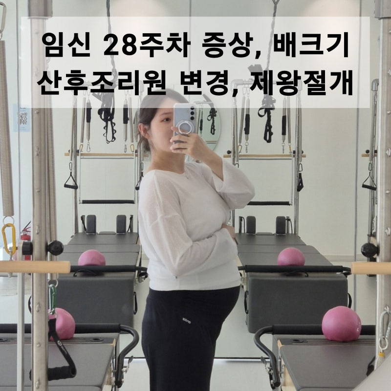 임신 28주차 증상 배크기 | 자궁근종 제거 후 제왕절개 날짜 고민, 산후조리원 변경