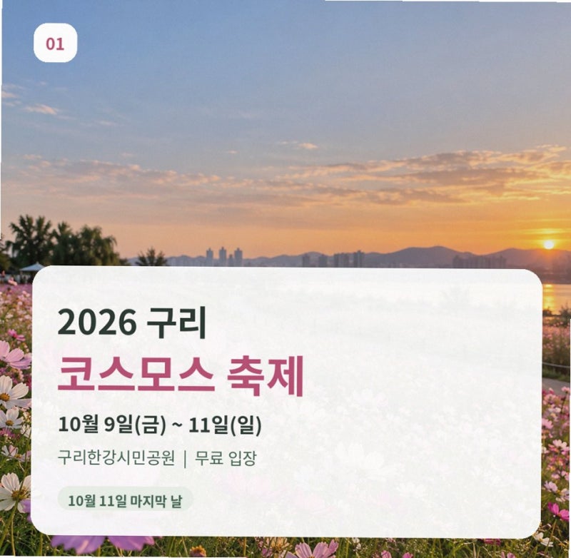2026 구리 코스모스 축제 홍이삭 양파 떴다? 11일 불꽃쇼까지 완벽 정리 (연예뉴스)
