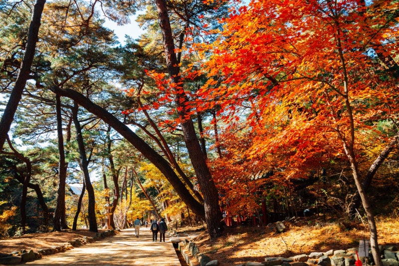 통도사 여행｜유네스코 세계유산 사찰, 가볼 만한 곳과 여행 팁 총정리