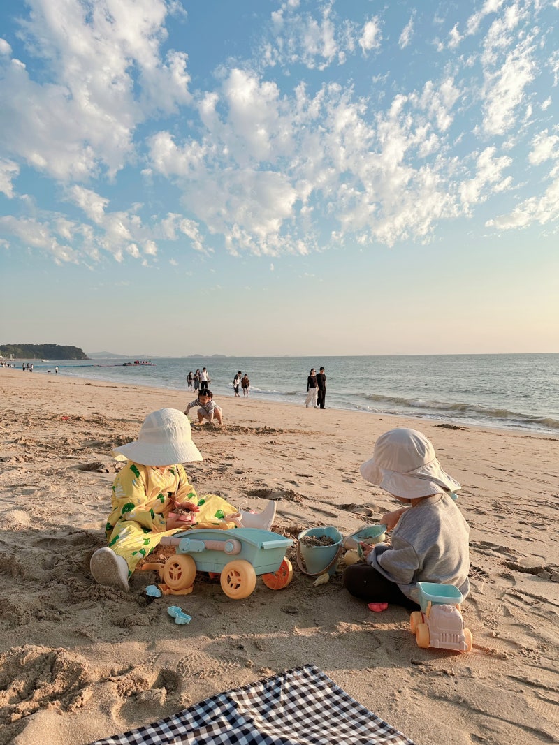 아기랑 1박2일 보령 여행 1일차 : 보령무궁화수목원, 대천해수욕장, 호텔 쏠레르