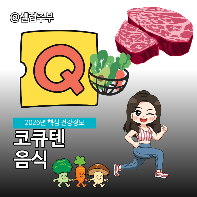 코엔자임Q10 기준 코큐텐 음식 챙겨