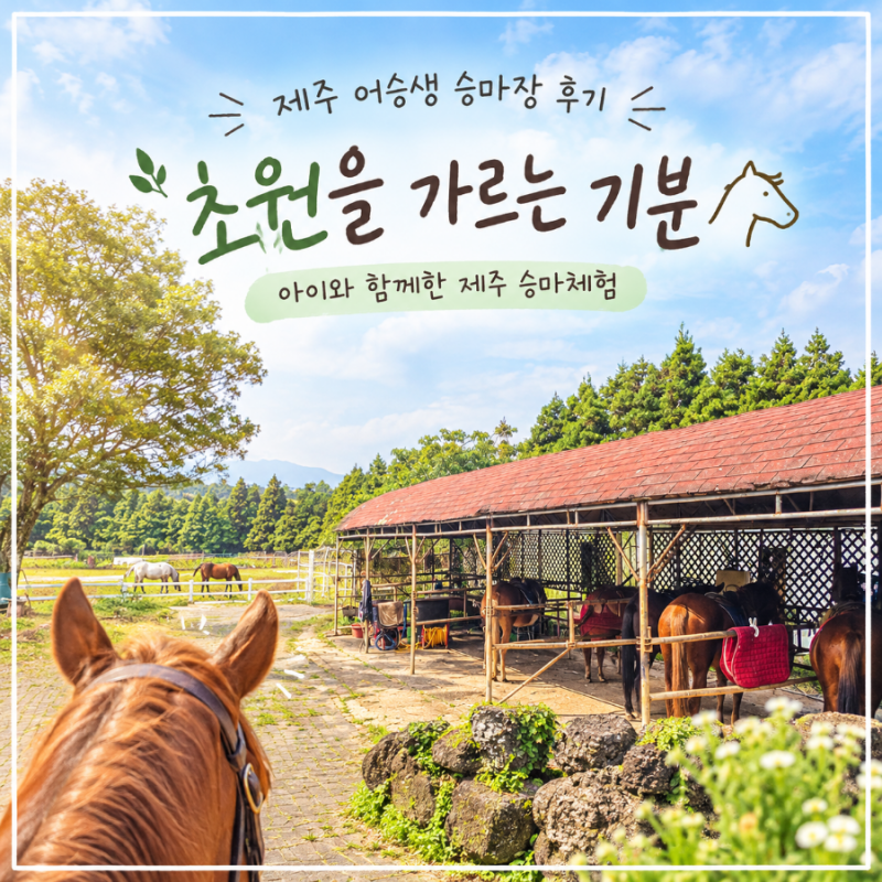 제주도 가볼만한곳 어승생 승마장｜제주승마체험 가족 후기