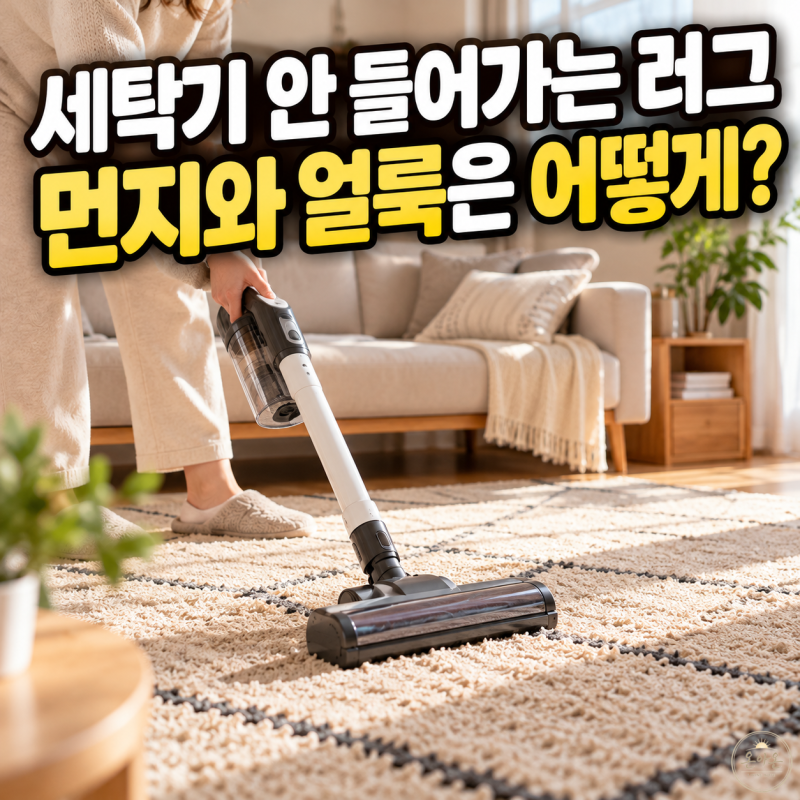 러그 청소 방법, 세탁기 못 넣는 큰 러그 먼지·얼룩·습기 관리법