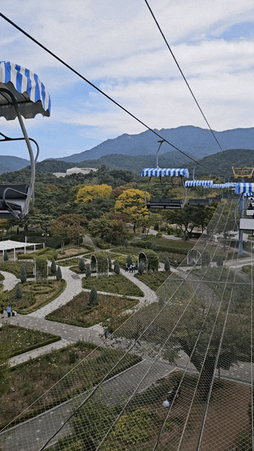 서울대공원 동물원 리프트 후기｜아이와 주말 나들이 꿀팁모음!