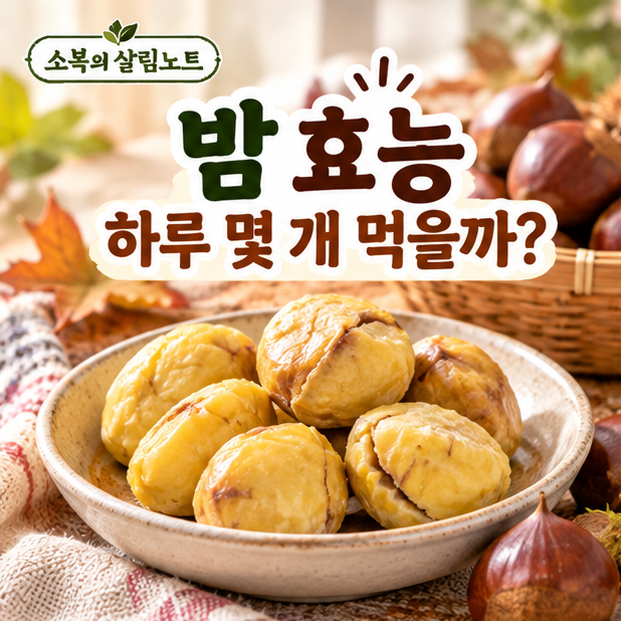 밤 효능｜삶은 밤 영양과 칼로리, 하루 몇 개 먹을까?