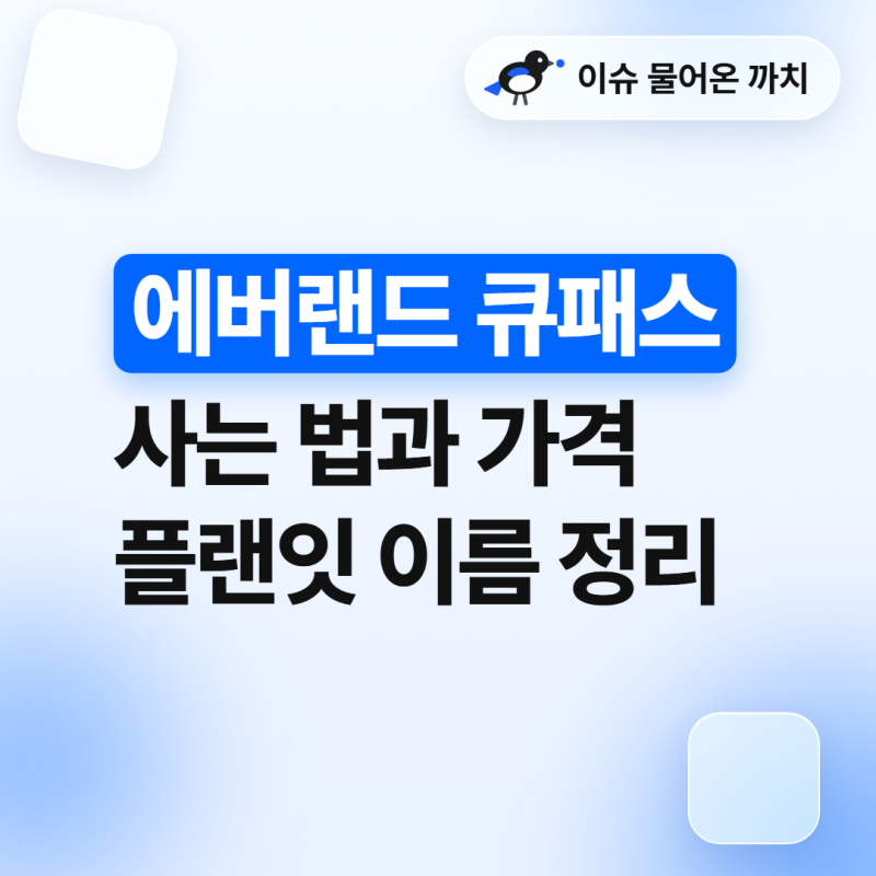 에버랜드 큐패스 사는 법과 가격 플랜잇 이름 헷갈림 정리