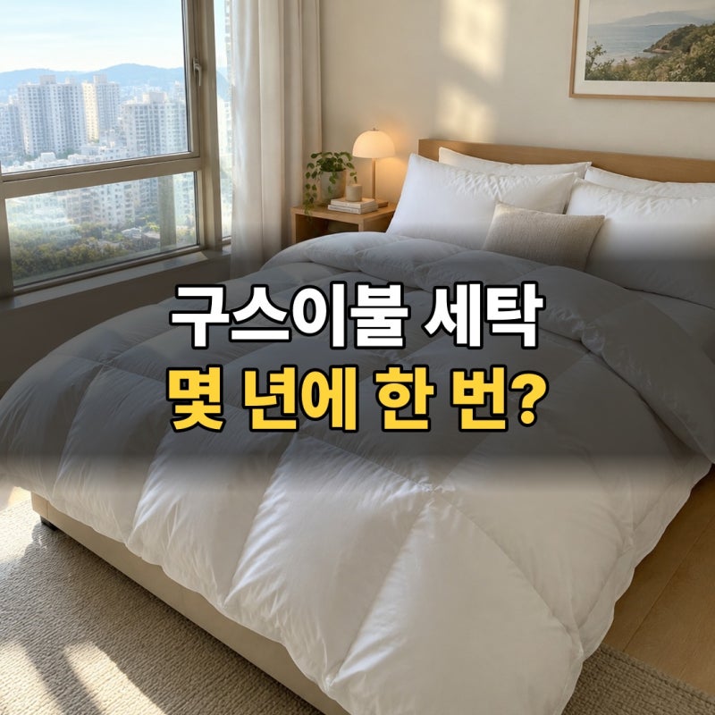 구스이불 세탁 2~3년에 한 번, 거위털이불 세탁기와 건조기 차이