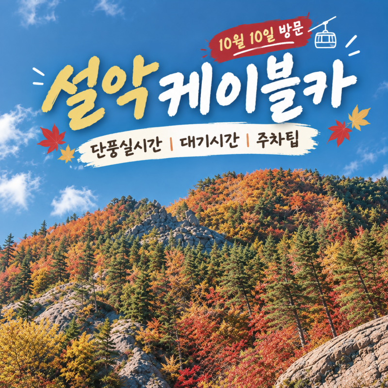 설악산 권금성 케이블카 10/10 방문｜티켓팅 시간, 웨이팅, 주차 및 단풍 실시간 후기