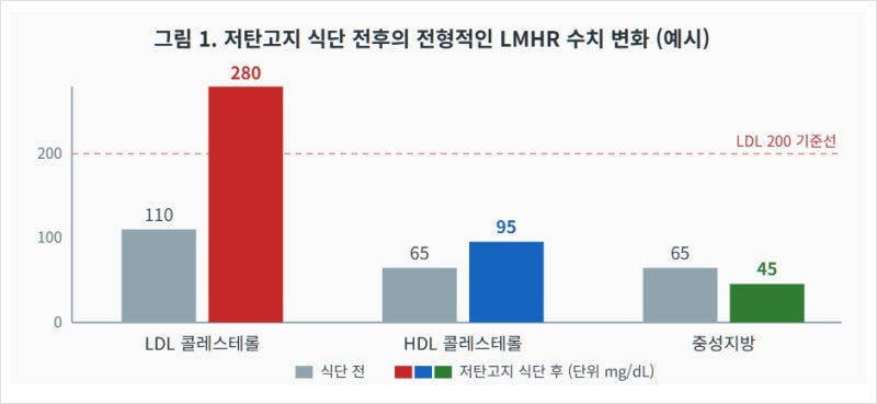 살은 빠졌는데 콜레스테롤은 300? 저탄고지 후 LDL이 치솟는 "린 매스 하이퍼리스폰더(LMHR)" 쉽....