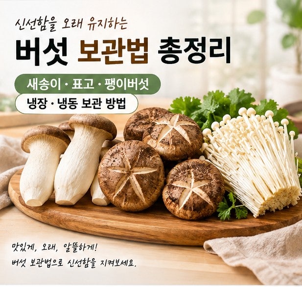 버섯 보관법 총정리｜새송이·표고·팽이버섯 냉장·냉동 보관 방법