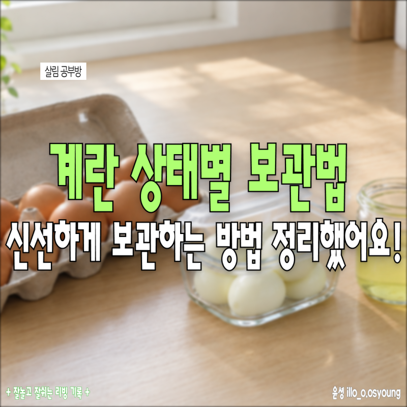 계란 보관법 총 정리! 냉동 보관도 될까? 삶은 계란 남은 흰자까지 상태별로