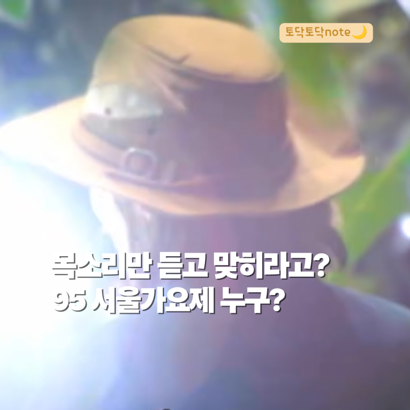 놀면 뭐하니 95 서울가요제 정체 추리, 이소라·거미·정은지까지?