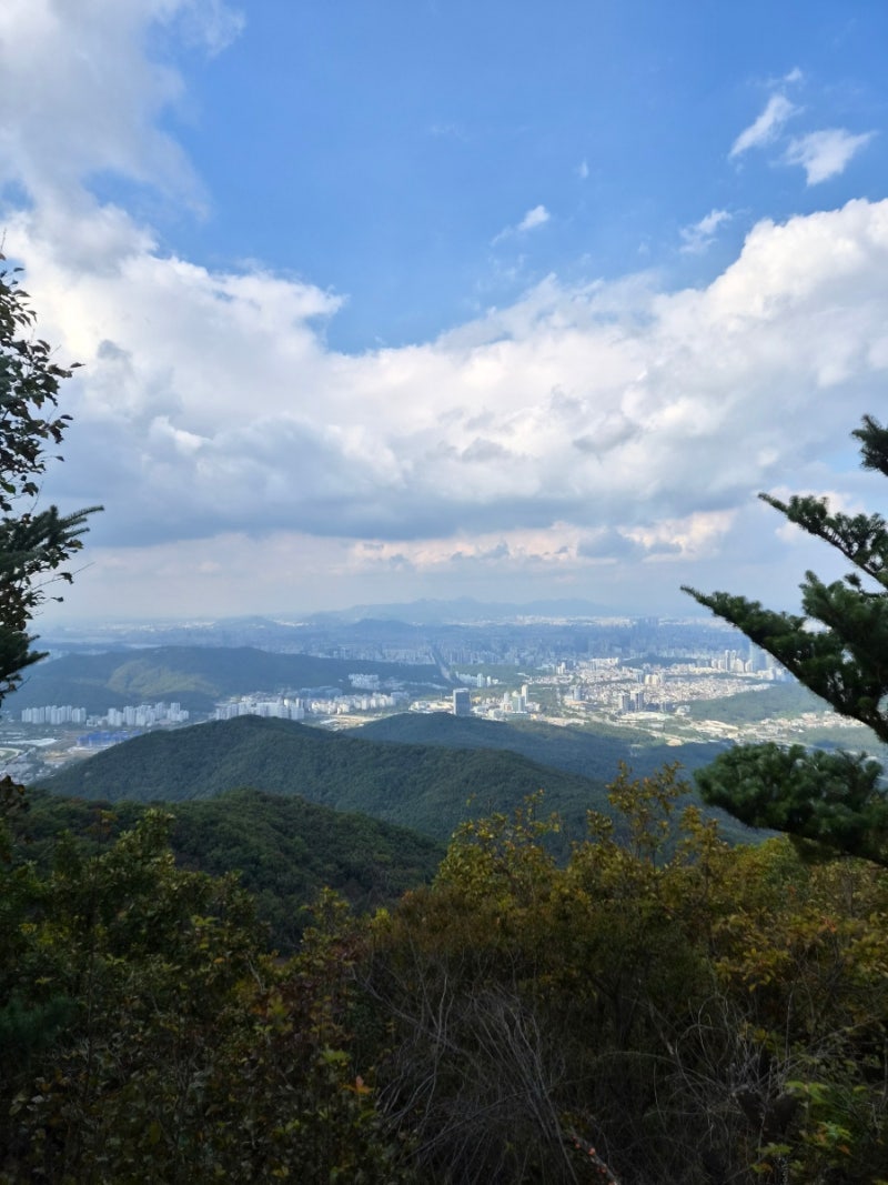 청계산 매봉 등산코스｜원터골에서 매봉까지, 초보 등산 소요시간 후기