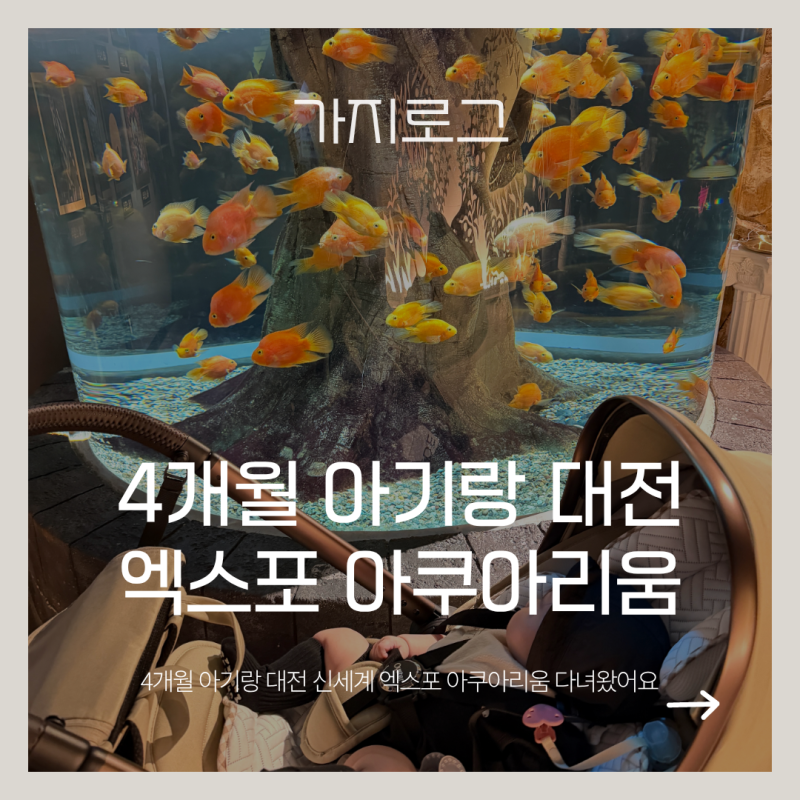 4개월 아기랑 첫 아쿠아리움, 대전 신세계 엑스포 아쿠아리움 다녀왔어요
