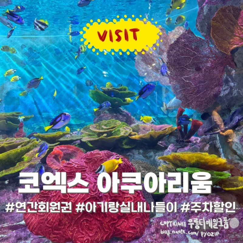 코엑스 아쿠아리움 연간회원권 가격 혜택 주차할인 총정리 | 아기랑 실내 가볼만한곳