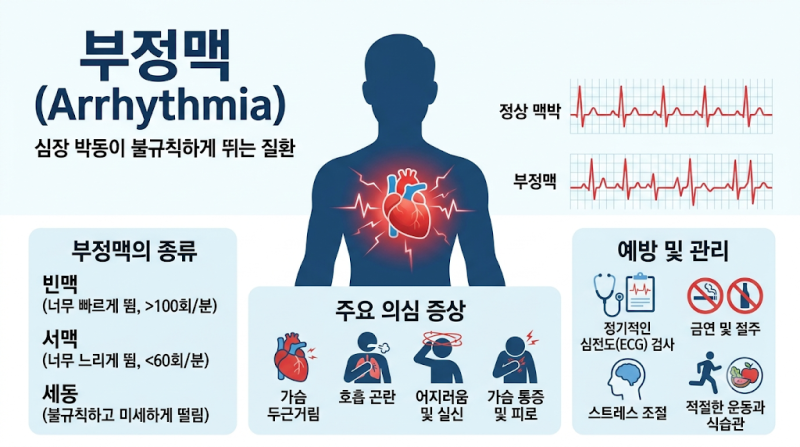 부정맥의 정의와 종류부터 증상·검사·약물치료·수술·합병증까지