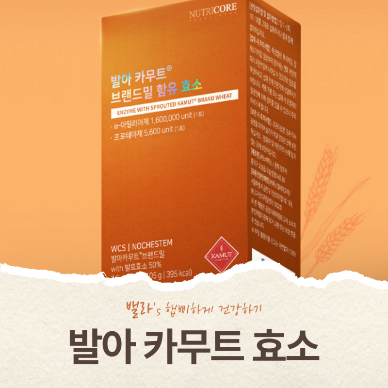 발아카무트 효소 먹는법·부작용, 사기 전 확인해야 할 것들