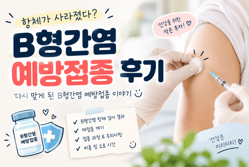 B형간염 항체가 사라졌다? 건강검진 후 다시 맞게 된 B형간염 예방접종 후기 (재접종 기록)