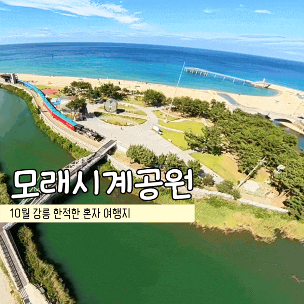 10월 강릉 한적한 혼자 여행지 모래시계공원 볼거리 갈만한 곳