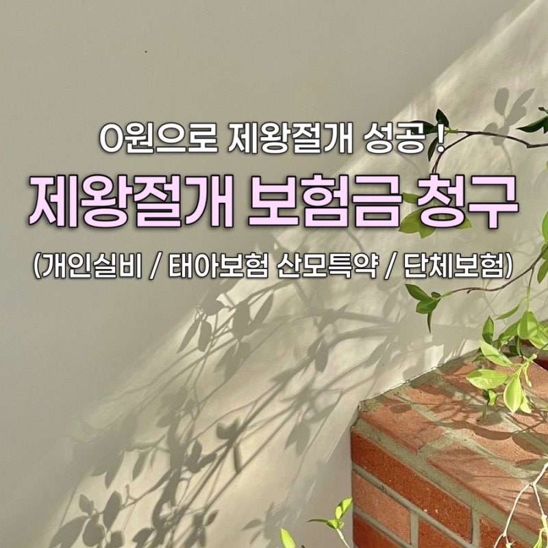 [보험금 청구 #2] 역아 조산 제왕절개 병원비 보험금 청구 (실비/태아보험/단체보험/개인보험)
