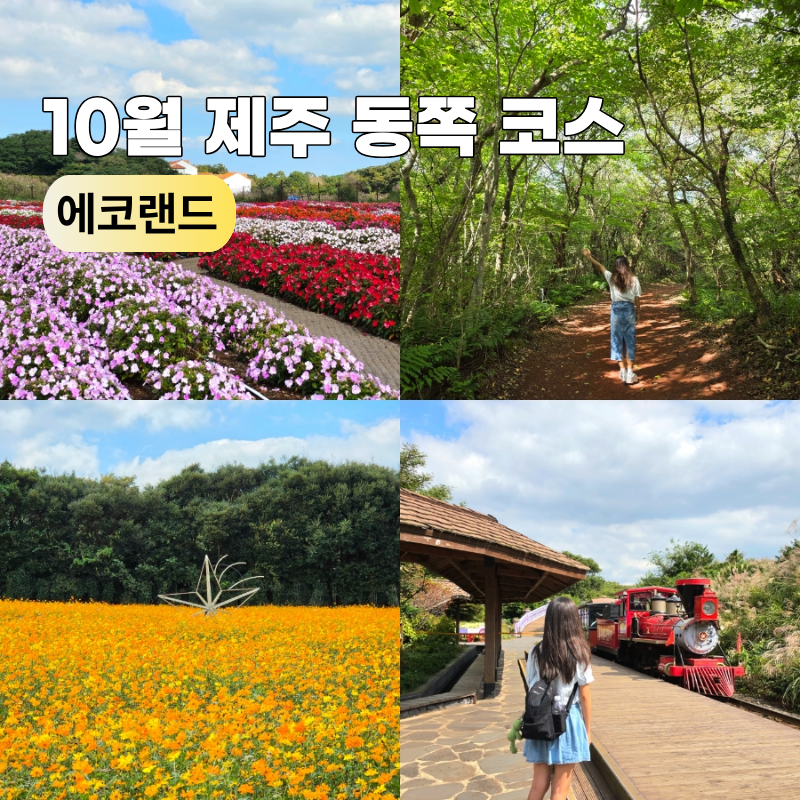10월 제주도 여행 동쪽 코스 추천 에코랜드 테마파크 입장료 할인 주차장 소요시간 가볼만한....