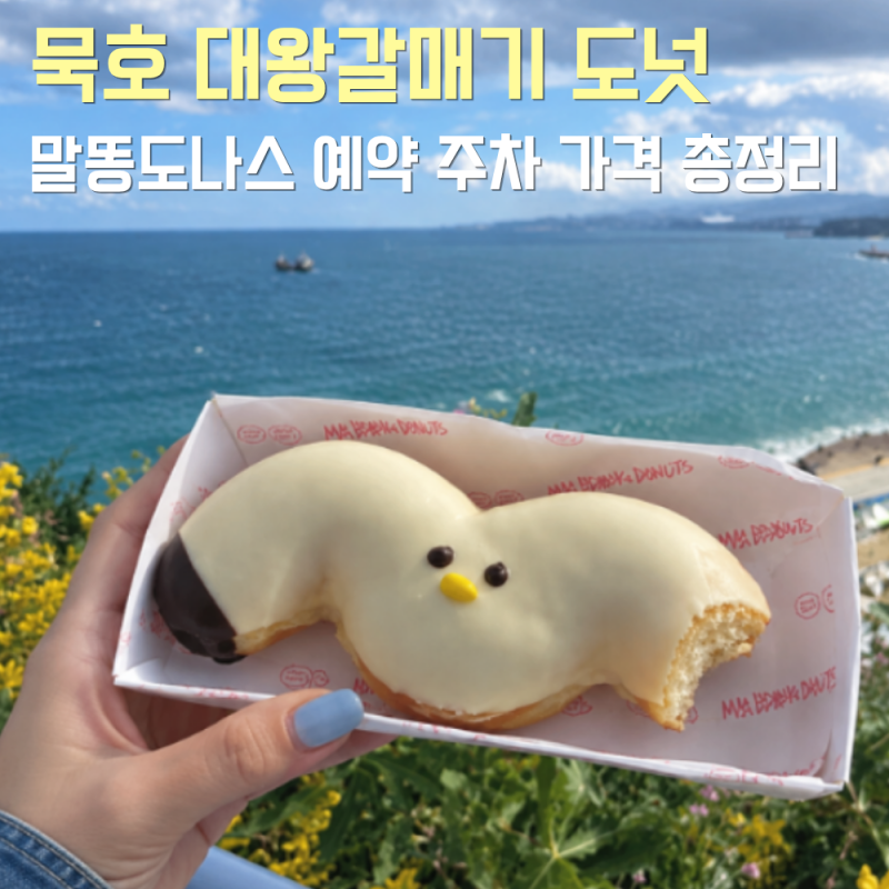 묵호 대왕 갈매기도넛 카페 말똥도나스 메뉴 위치 주차 예약 총정리