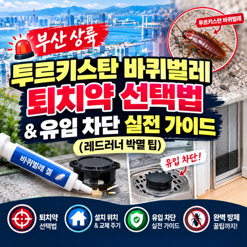 부산 외래종 투르키스탄 바퀴벌레 퇴치약 선택법과 유입 차단 실전 가이드 (레드러너 박멸 ....