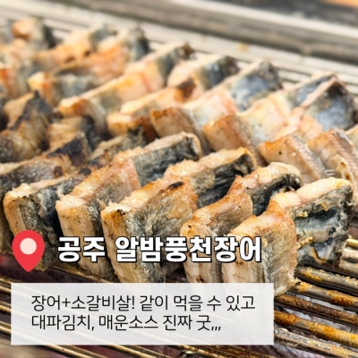 공주장어맛집 "알밤풍천장어" 장어와 소갈비살을 한 번에🍴
