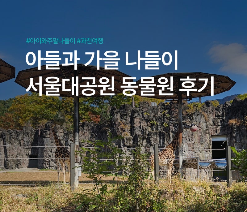 서울대공원 동물원 추천 코스 아이와 주말나들이 과천여행 (주차 팁/코끼리열차/입장료 후기....