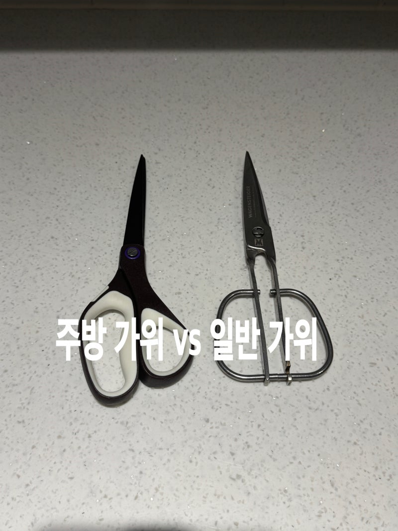 주방 가위 대신 문구용 가위 써도 될까?날 두께부터 위생관리