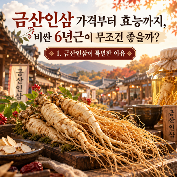금산인삼 가격부터 효능까지, 비싼 6년근이 무조건 좋을까