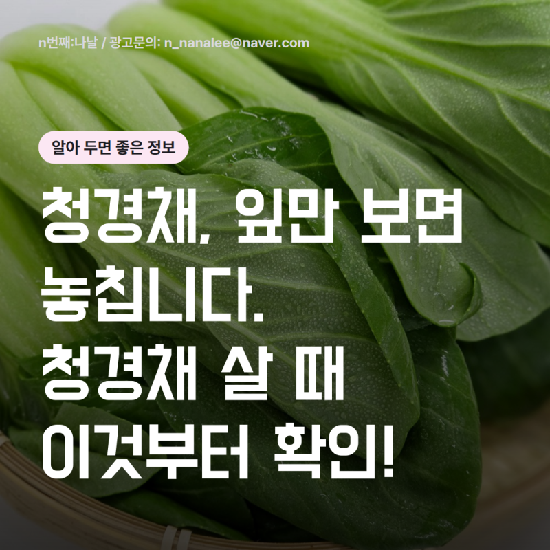 청경채, 잎만 보고 사셨나요? 신선한 청경채 선택법부터 영양성분·효능, 세척·보관법, 4가지....