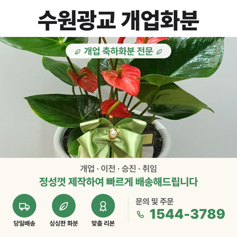 ‼️ 수원개업화분배달 | 수원역 · 인계동 · 광교 개업선물 화분 당일 배송