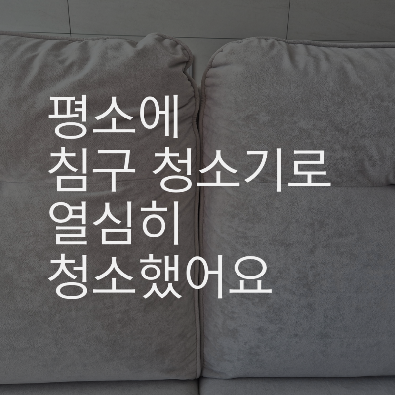 대전 패브릭 소파 청소는 "집먼지 연구소"